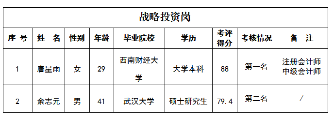 战略投资岗5.9
